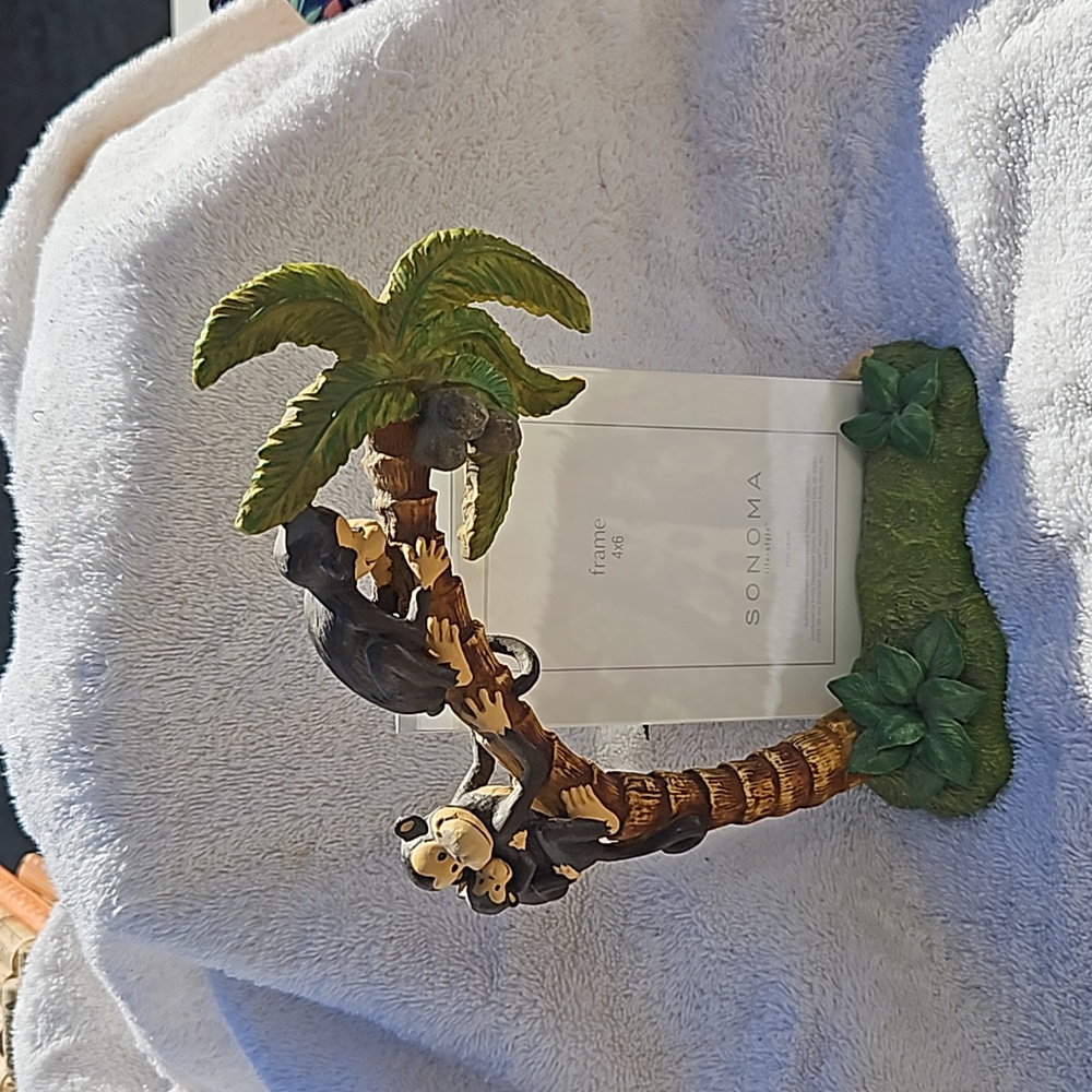 Sonoma life and style monkey picture frame